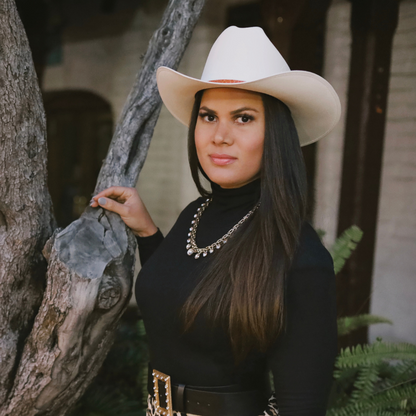 Cowboy Hat - Sombero vaquero 